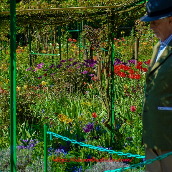 Nowhere Man, Residence Claude Monet, Giverny, France